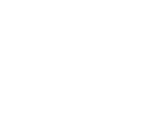 Preventative Dentistry icon